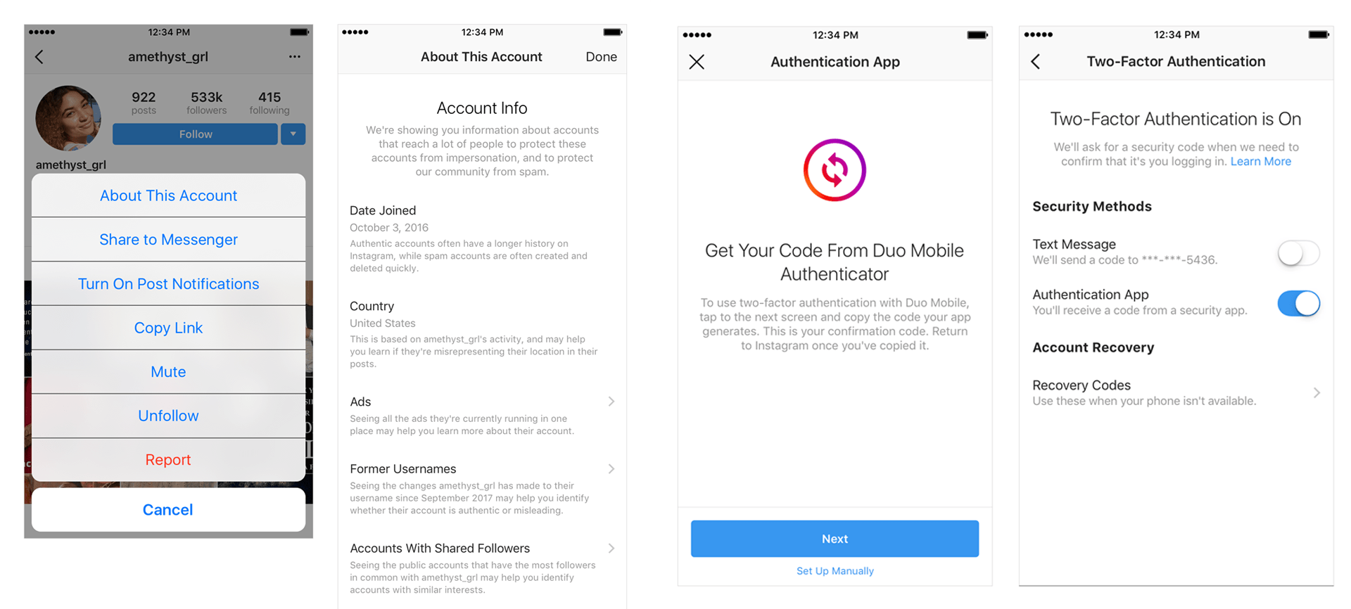 Instagram-Pfofil-Information-App-Authentifizierung