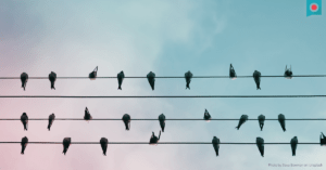 Thumbnail_Twitter_Algorithmus_Funktionsweise_Updates