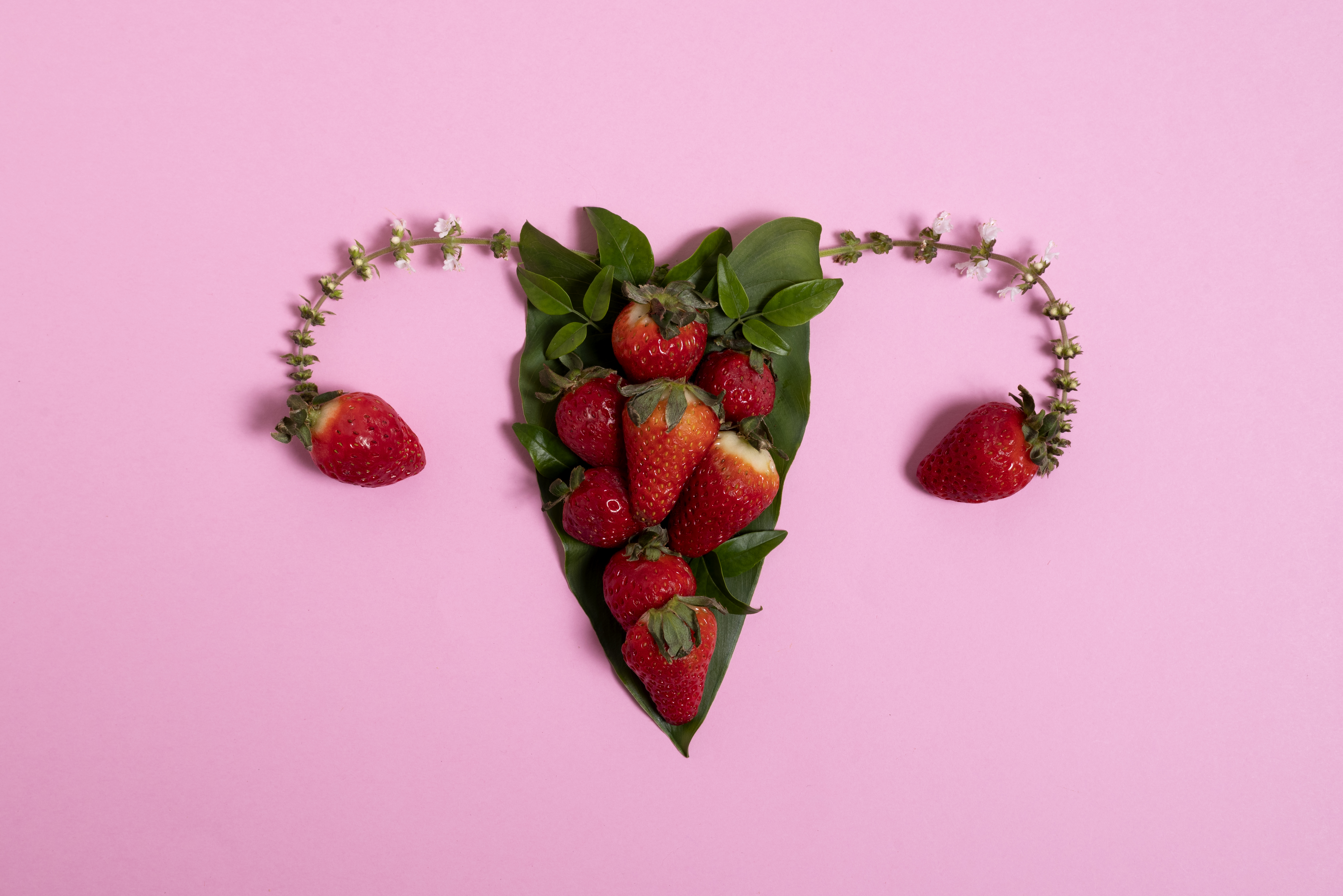 Weibliche Gebärmutter dargestellt mit Erdbeeren und Blättern