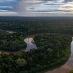 Drohnenaufnahme vom Regenwald in Peru
