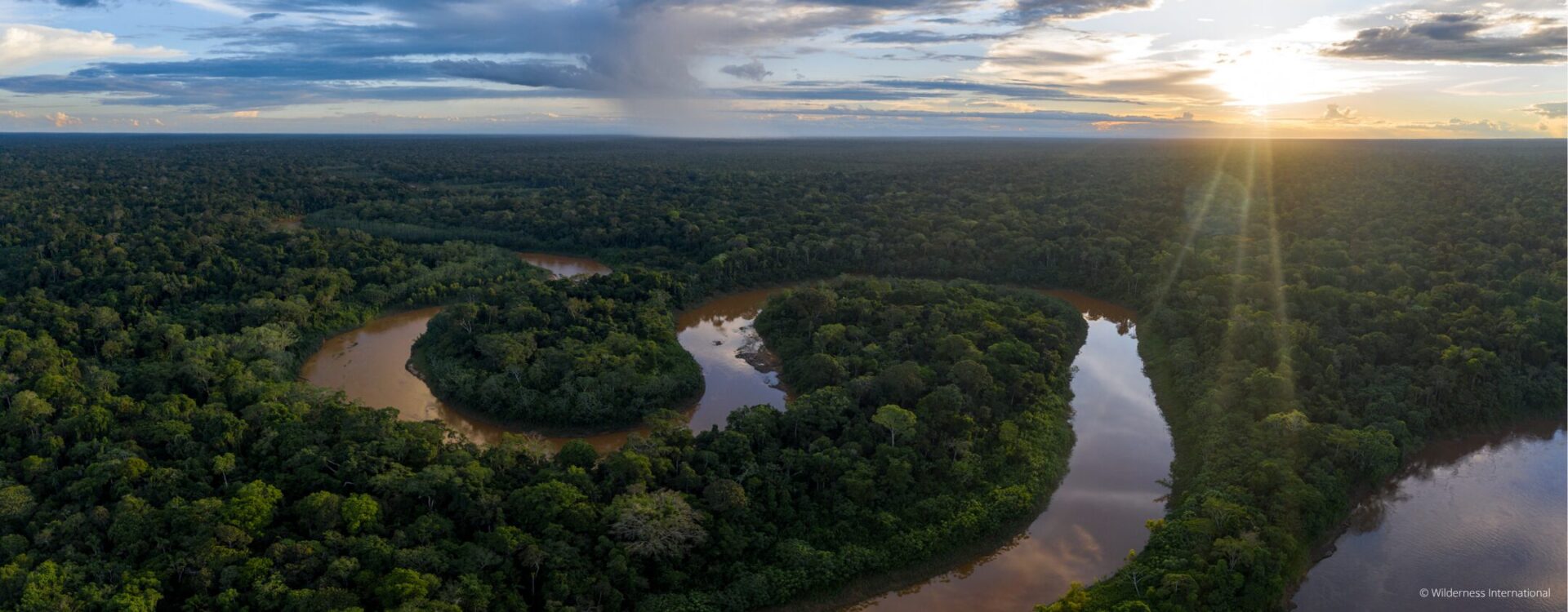 Drohnenaufnahme vom Regenwald in Peru