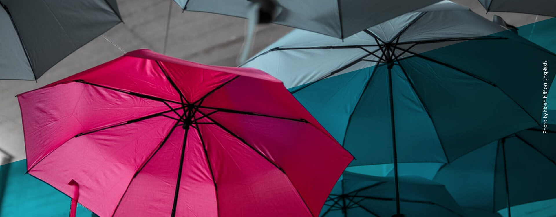Pinker Regenschirm im Vordergrund, graue Regenschirme im Hintergrund