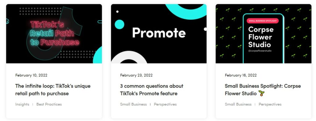 Screenshot des TikTok for Business Blog